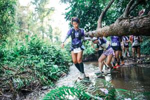 BIB: 
                            <button type="button" onclick="openModal(25457659)" class="btn btn-primary btn-sm float-right btn-popup" data-toggle="modal" data-target=".modal-high-quality">
                        <i class="fas fa-shopping-cart"></i> Add to Cart
                    </button>
                                            <button type="button" onclick="isThisMe(25457659, true)" class="btn btn-success btn-sm float-right btn-popup btn-isme hidden" data-toggle="tooltip" data-placement="bottom" title="นี่คือรูปของคุณใช่ไหม คลิกที่นี่เพื่อเอาเข้าอัลบั้ม">
                        <i class="fas fa-plus"></i> Add to album
                    </button>
                    <button type="button" onclick="isThisMe(25457659, false)" class="btn btn-warning btn-sm float-right btn-popup btn-isnotme hidden">
                        <i class="fas fa-ban"></i> Remove from album
                    </button>